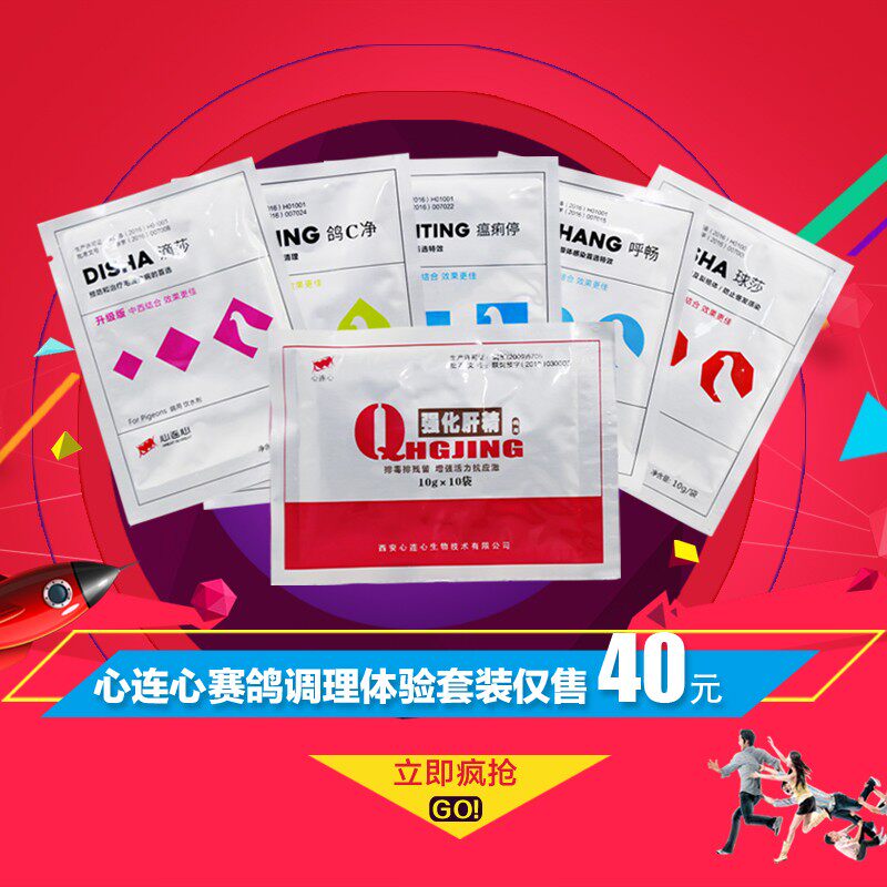 心连心套装鸽药基础调理套装赛鸽信鸽子用品用药鸽虫强化肝精呼畅