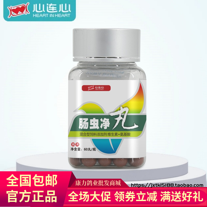 鸽子体内心连心体内虫鸟用鹦鹉