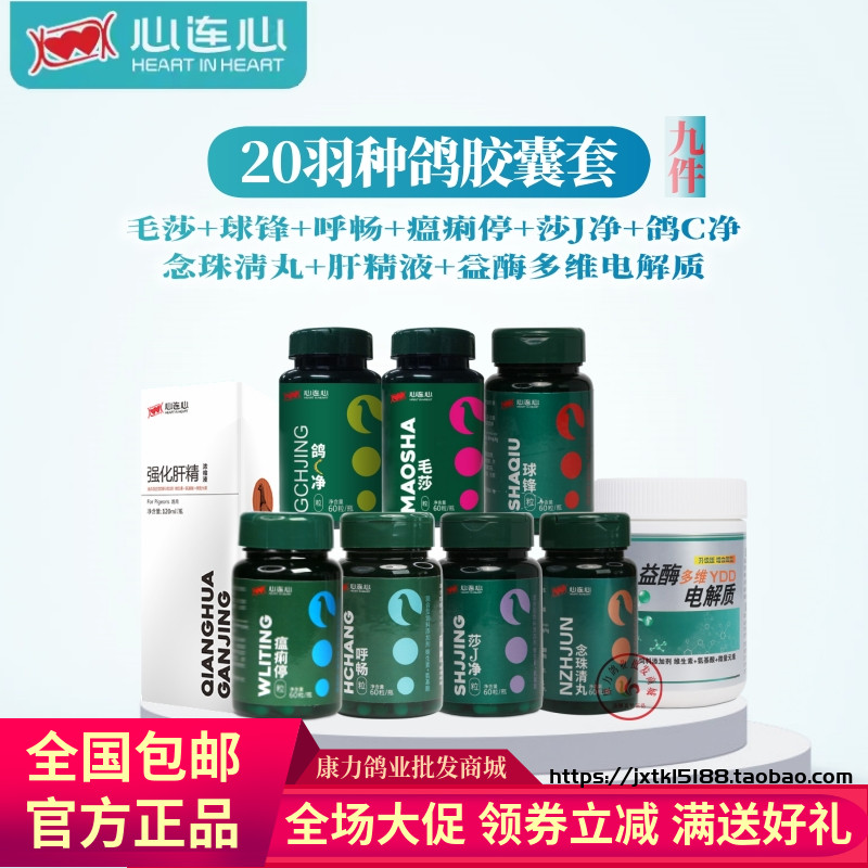 心连心种鸽套装20-200羽套装组合