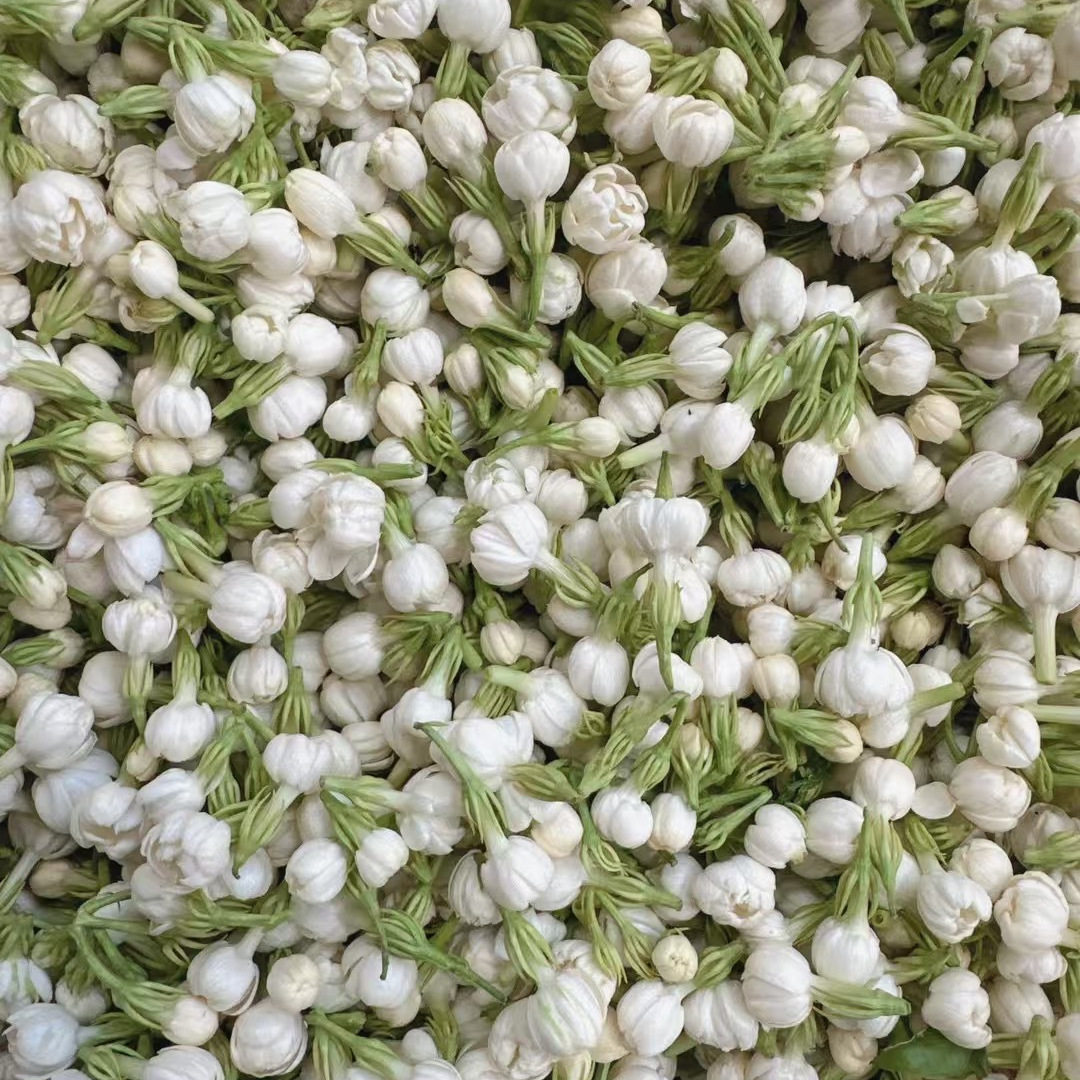 新鲜茉莉花现摘现发可食用鲜花