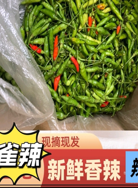新鲜泡椒小米椒小雀辣特小特辣