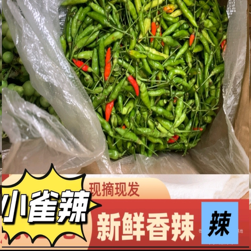新鲜泡椒小米椒小雀辣特小特辣