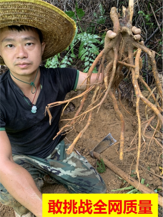 深山无硫五指毛桃搭配深山无硫土茯苓广东连山农家0添加干货天然