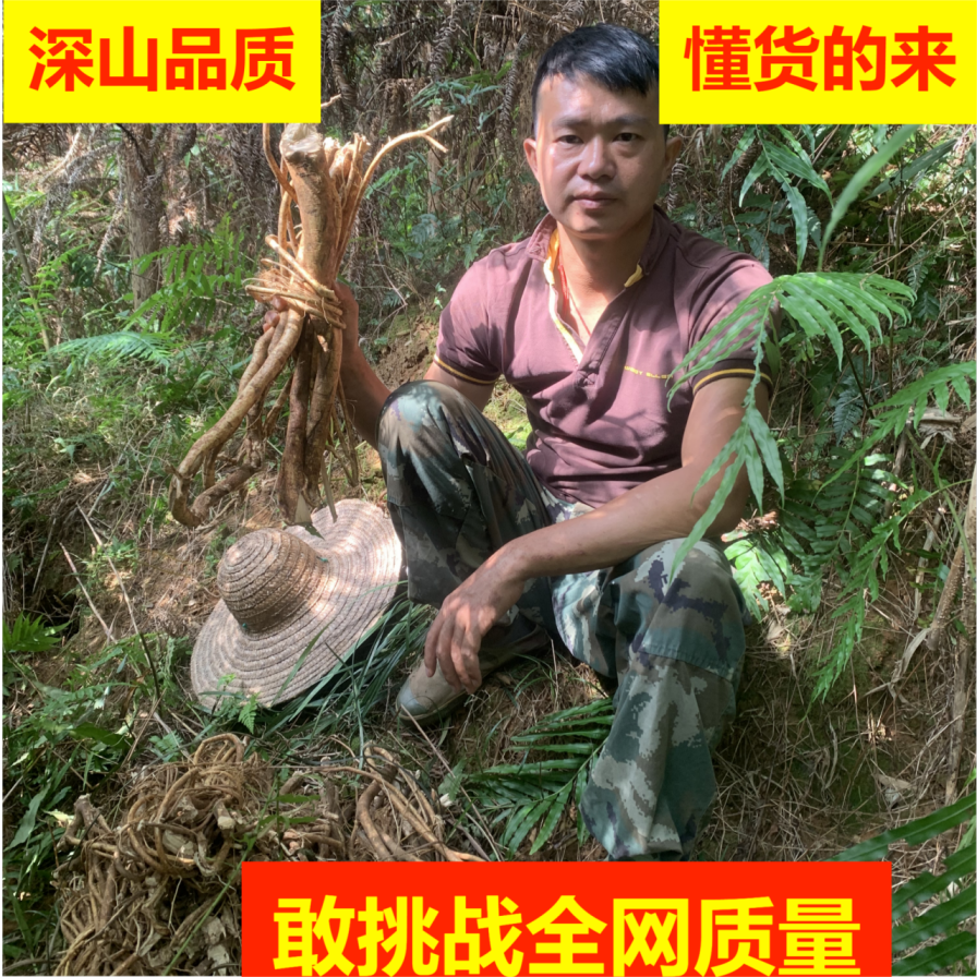 千人回购纯野五指毛桃根