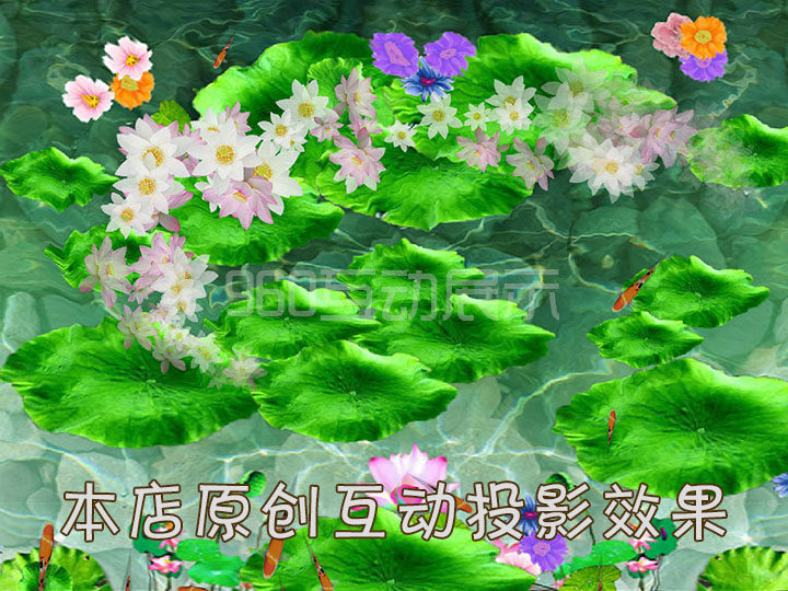 地面互动投影步生莲效果 反腐倡廉花鱼水素材 可用于雷达感应系统