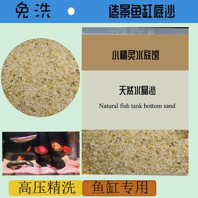 南美鼠鱼缸造景装饰天然黄色