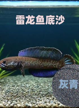 免洗雷龙底沙灰青沙青红沙偏暗青灰红沙七彩牙鱼原生鱼缸造景装饰