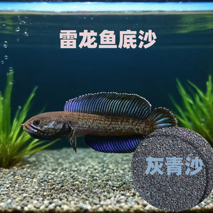 免洗雷龙底沙灰青沙青红沙偏暗青灰红沙七彩牙鱼原生鱼缸造景装饰