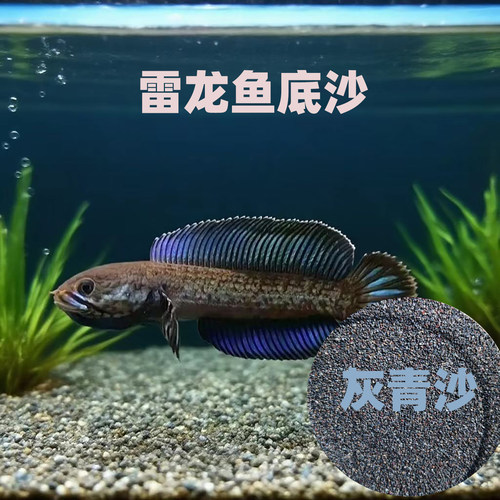 免洗雷龙底沙灰青沙青红沙偏暗青灰红沙七彩牙鱼原生鱼缸造景装饰