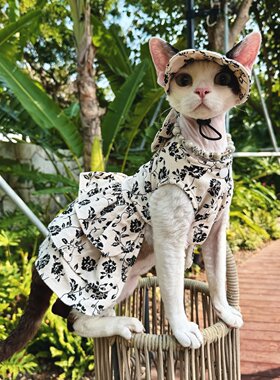 德文猫无毛猫碎花连衣裙春秋宠物服装纯棉裙子猫猫萌宠潮服拍摄