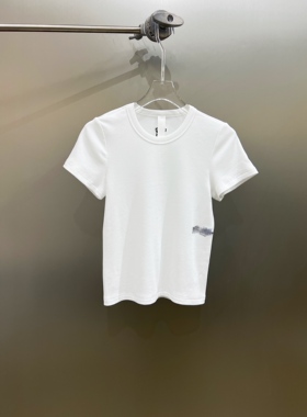 小众设计 23夏 时髦简约百搭基础款梵文字母刺绣纯棉修身短袖T恤