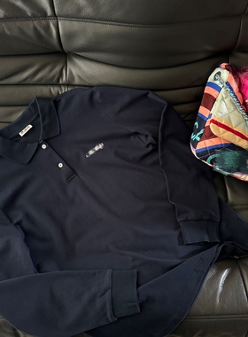 小众设计 24早秋 博主同款 字母刺绣宽松polo领长袖上衣 男女同款