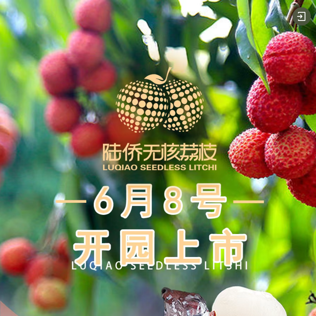 【空运包邮】海南陆侨无核荔枝无籽全肉甘甜当季新鲜水果礼盒装