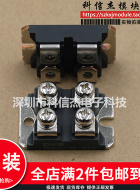 DWM90X2-06N/06NP DWM60X2-12N DWM100X2-04N DWM120X2-03模块