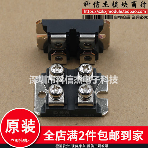 DWM100X2-12N DWM60X2-12N DWM100X2-06N模块现货