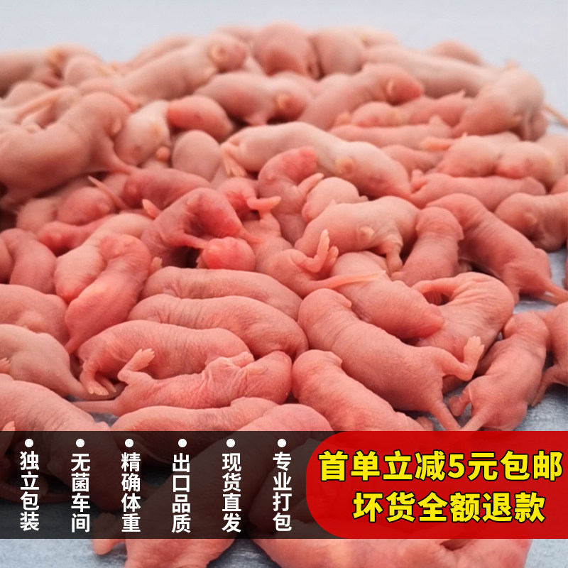 蛇类养殖产业的新篇章：可持续发展的未来