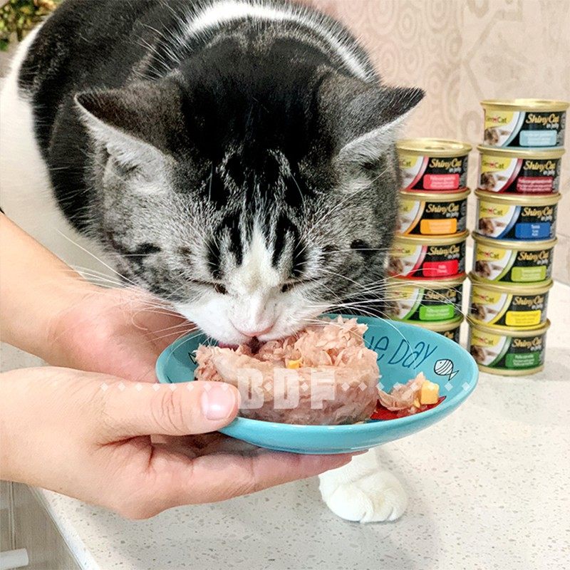 贝多芬宠物/德国进口GIMBORN俊宝骏宝啫喱去毛球湿粮零食猫罐70g,宠物/宠物食品及用品,猫零食罐,淘宝优惠券,粉丝福利购,淘宝优惠卷