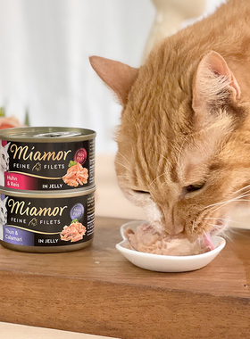 贝多芬宠物/Miamor迈阿咪黑罐猫罐头迈阿密猫咪湿粮零食汤罐80g