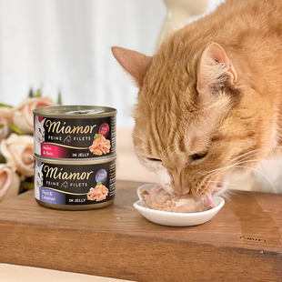贝多芬宠物/Miamor迈阿咪黑罐猫罐头迈阿密猫咪湿粮零食汤罐80g