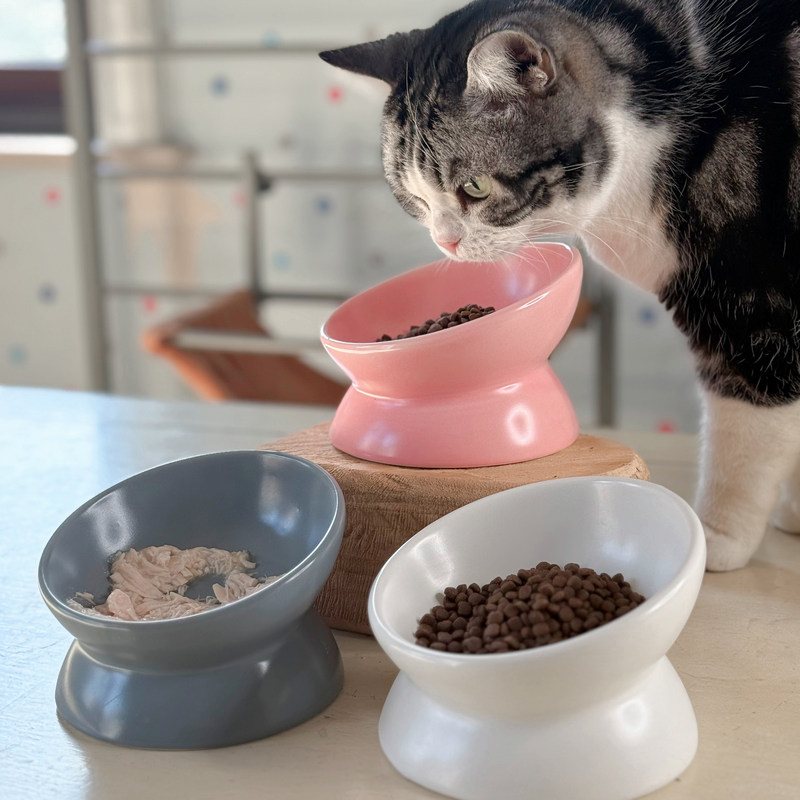 斜口陶瓷碗高脚猫碗猫咪狗狗喝水