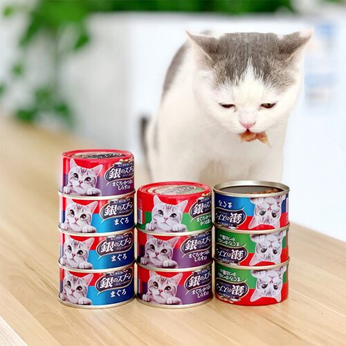 贝多芬宠物/日本银勺猫罐湿粮进口猫罐头拼箱成猫幼猫罐70g*6罐