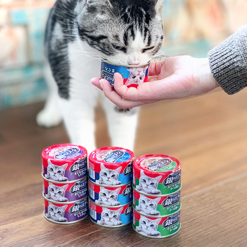贝多芬宠物/日本佳乐滋银勺进口猫罐70g*24罐成猫幼猫罐零食拼箱
