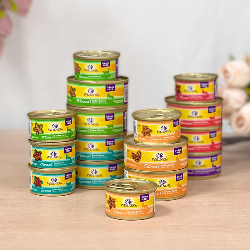 贝多芬宠物wellness宠物健康进口猫咪罐头幼猫成猫零食罐补水猫罐