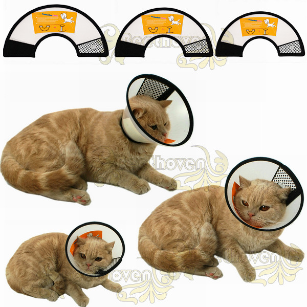 Послеоперационный ошейник для кошек. Воротник для кота. Защитный воротник для кошек. Одевать на шею коту. Воротник для котов.