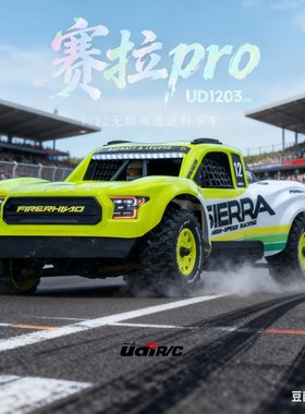 优迪UD1203赛拉PRO遥控电动四驱沙漠卡越野车短卡RC模型1/12无刷