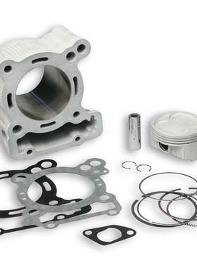 malossi 改装 陶瓷 汽缸 中缸 AD1 圣甲虫 草蜢 意塔杰特 RAGP200