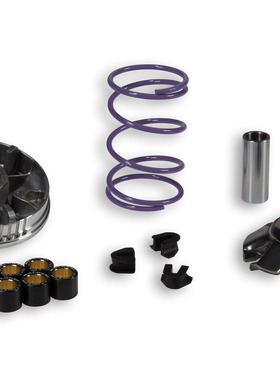 意大利 malossi 淑女100 淑女50 zip50 zip100 改装 传动 普利盘