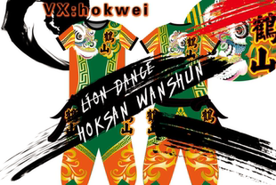 鹤山醒狮团队服  舞狮T恤上衣定做 龙狮团短袖衫半袖定制舞狮长袖