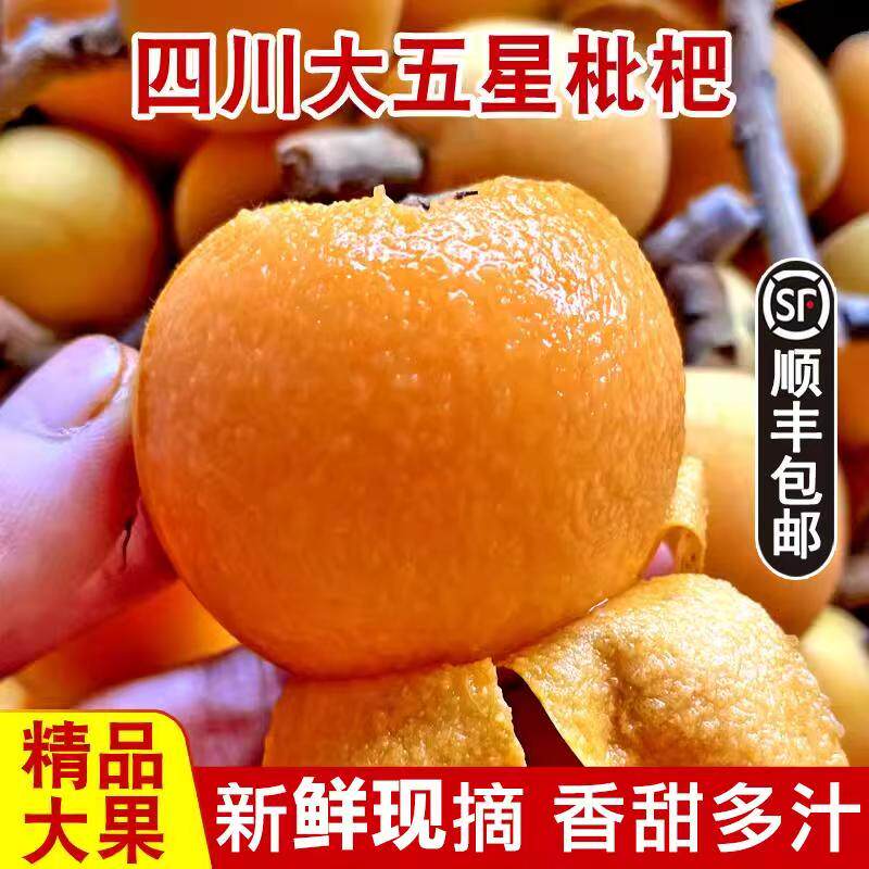 现摘四川大五星米易枇杷鲜果5斤当季新鲜水果琵琶特大果现货顺丰