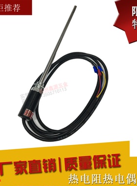 杆式热电阻探头式热电阻烤箱感温探头温度传感器 K/E/PT100/CU50