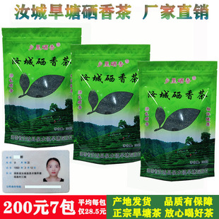 绿茶2025新茶日照高山云雾送礼炒青茶叶散装汝城硒香茶叶袋装200g