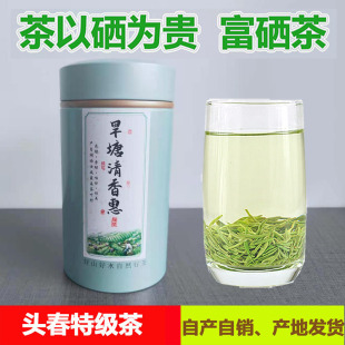 湖南汝城特产旱塘硒山茶富硒绿茶叶2026新茶罐装浓香嫩芽特级100g