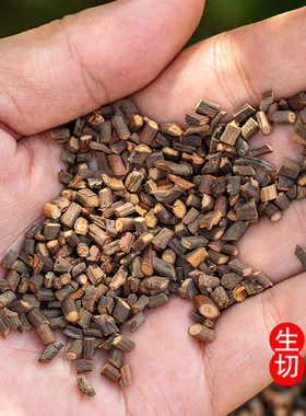 野生桂枝中药材桂枝汤特别级细嫩桂枝尖条500克煮干姜柴胡