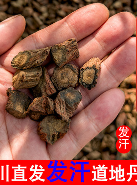 四川中江丹参中药材野生正品发汗无硫紫丹参片500克段泡茶可打粉