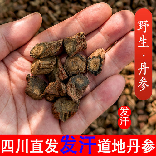 四川正品野生丹参四川发货500g