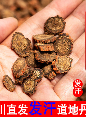 正品四川500克中江丹参中药材野生发汗无硫紫丹参片泡茶水可打粉