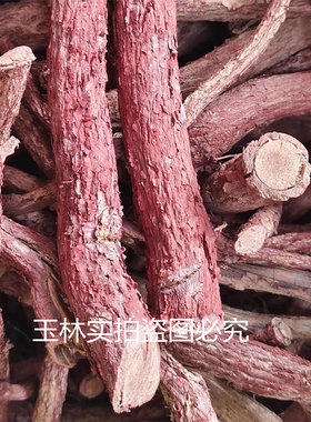 广西玉林红穿破石 血风藤  拉牛入石 铁牛入石 血风根 状元红根