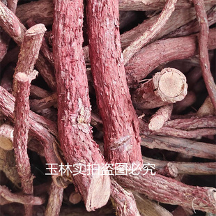 广西玉林红穿破石 血风藤  拉牛入石 铁牛入石 血风根 状元红根