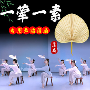 一荤一素舞蹈蒲扇子老式手摇芭蕉夏季葵扇古典舞棕榈叶扇跳舞道具
