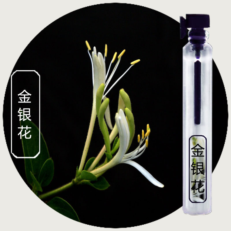 偶遇私家金银花味香水持久留香清新淡香淡雅单一花果香纯植物包邮