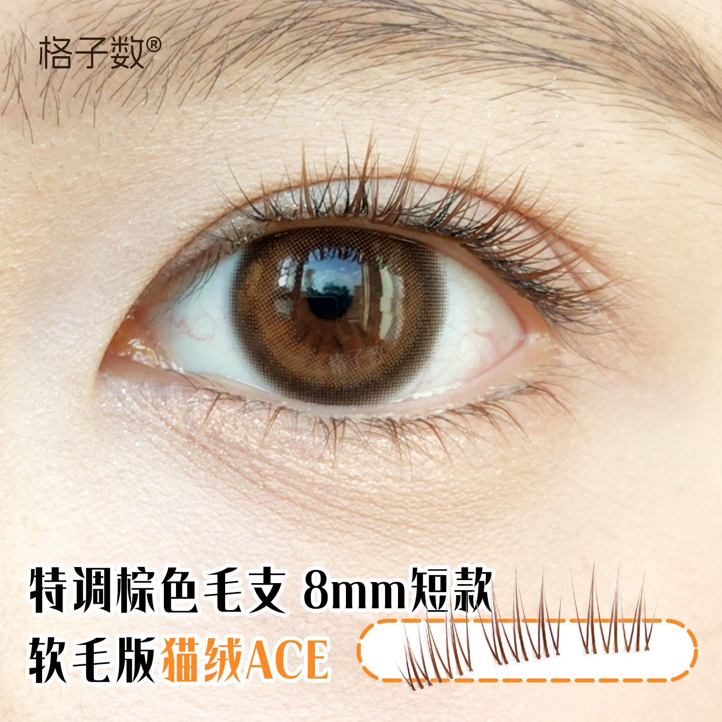格子数焦糖猫绒ACE棕色女超自然假睫毛短款8mm爱豆免胶水上眼睫毛