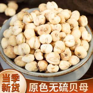 贝母中药材正品干货四川平贝母粒无硫正品非川贝特级野生松贝粒粉