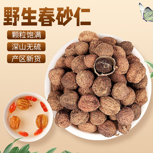 正宗【阳春砂仁】中药材正品