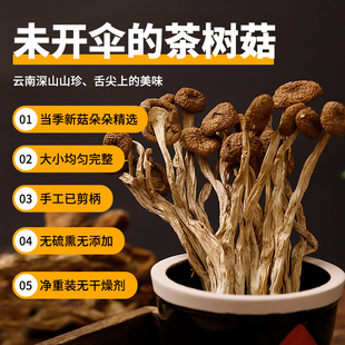 干货珍珠菇云南小蘑菇冬菇菌菇香菇干货盖嫩柄脆 未开伞茶树菇