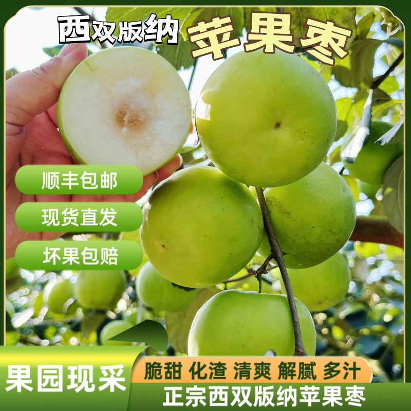 顺丰快递】正宗西双版纳苹果枣新鲜水果果园现采脆甜多汁现货直发,水产肉类/新鲜蔬果/熟食,枣,淘宝优惠券,粉丝福利购,淘宝优惠卷