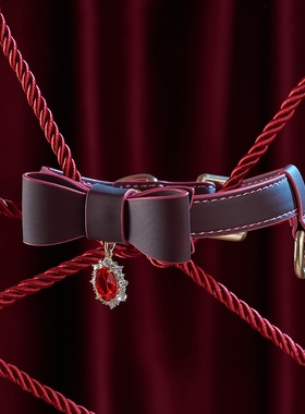 Puppy*温感变色项圈女蝴蝶结宝石吊坠choker项链男牵引链情侣礼物